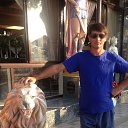 ���� ���, ���������, 52 ���� - ��������� 3 ������� 2025 � ������ ���� ����������