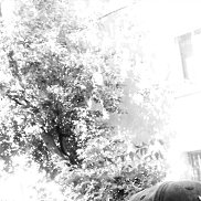 ����, 37 ���, ������