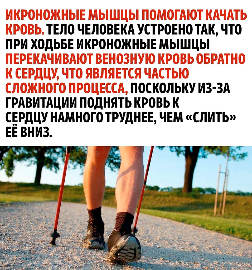     - 2