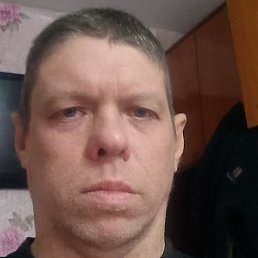 ������, �����, 41 ���