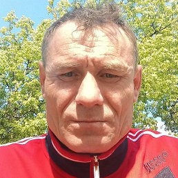 ����, ������, 46 ���