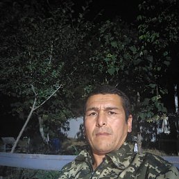 , 29, 