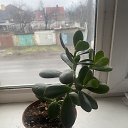 ���� �����, ������������ - ��������� 10 ����� 2026 � ������ ������ ��������