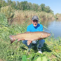 �����, �������, 55 ���