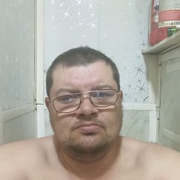 ����, 41 ���, �����