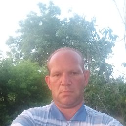 , 39 , 