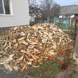 ������, �����, 39 ���