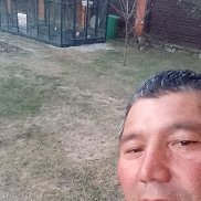 ����, 43 ����, ������