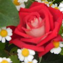 ���� ������, ������, 71 ��� - ��������� 24 ������ 2024 � ������ ���� ����������