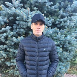 ���� ��������, ������, 54 ���� - ��������� 14 ������ 2026