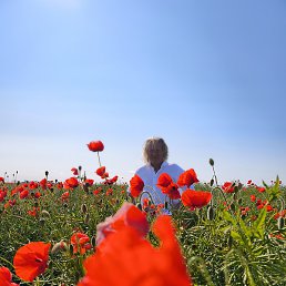 ����, �����������