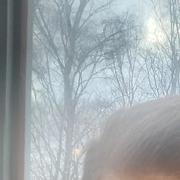 �����, ������, 53 ����