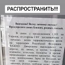 ���� �����, �����, 38 ��� - ��������� 23 ������� 2023 � ������ ���� ����������