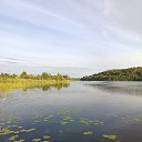 ���� �����, �����, 42 ���� - ��������� 25 ���� 2025 � ������ ���� ����������