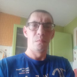 ����, ������, 41 ���