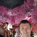 ���� Atachi, ������, 40 ��� - ��������� 27 ��� 2024 � ������ ���� ����������