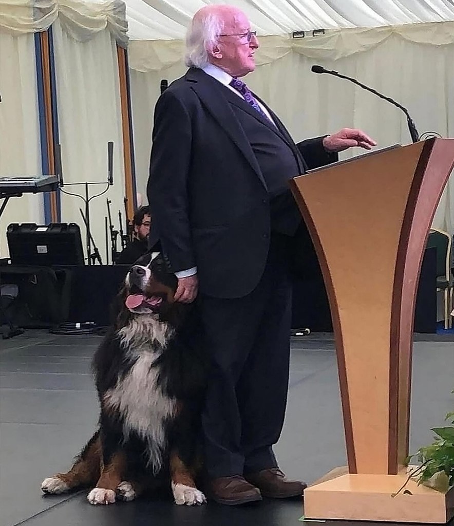 ��������� �������� ����� ������� �������� ����� �������������� � �������� ������������. ��� ������ ... - 5