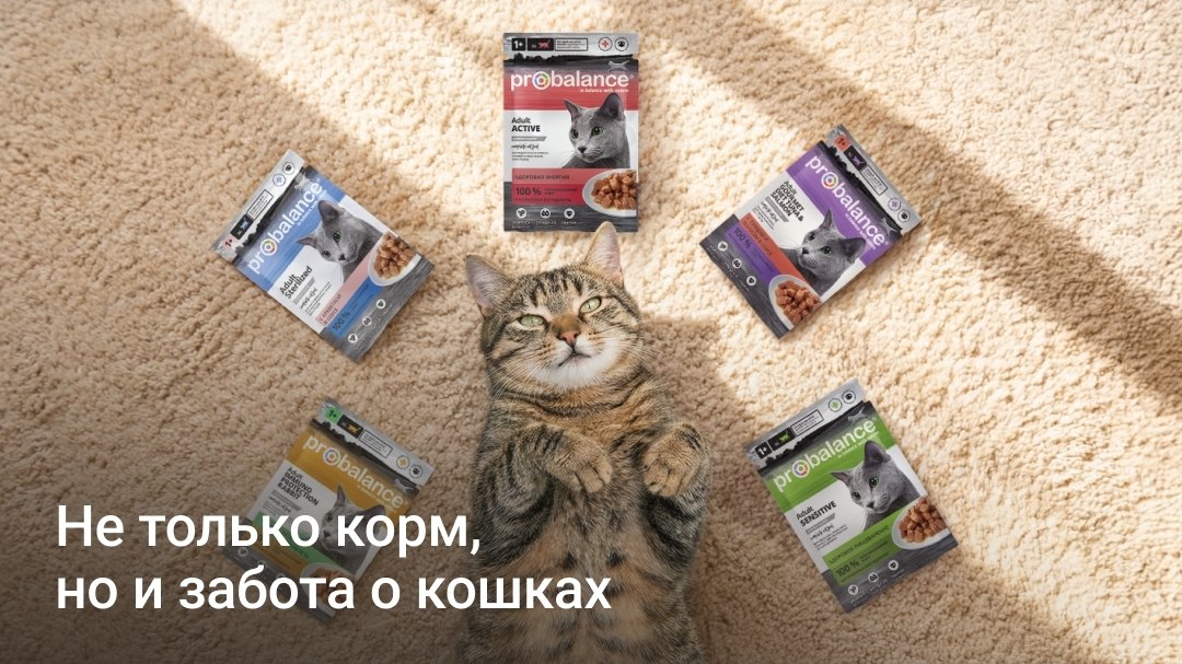 �� ������ ����� Probalance ��� �������� ��������. �� ���� ������ �� �������������� ��������. ...