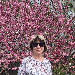 ����, �����������, 54 ����