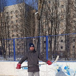 ����, �������, 41 ���