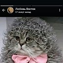 ���� ���������, ������, 33 ���� - ��������� 29 ����� 2025 � ������ ���� ����������