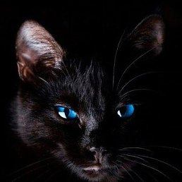 �����, �����, 56 ���