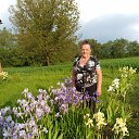 ���� �����, �������, 70 ��� - ��������� 21 �������� 2025 � ������ ���� ����������