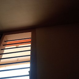Damny, ����, 22 ����
