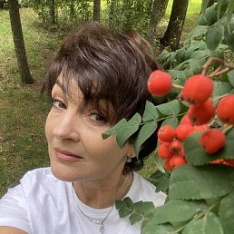 , 57, 