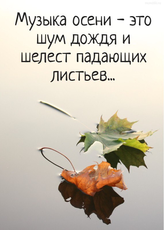 ОБО ВСЕМ - 21 октября 2025 в 18:09