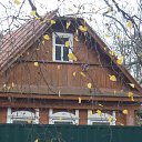 ���� �����, ������, 53 ���� - ��������� 29 ������� 2025 � ������ ������ ��������