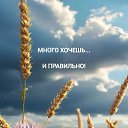���� ����, ����� - ��������� 30 ������ 2026 � ������ ������ ��������