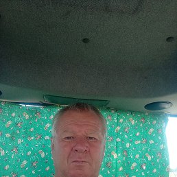 , 56 , 