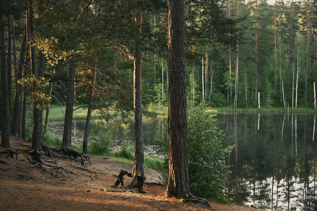 Мне нравится рано утром после чашки кофе ехать на машине по тихой дороге всего 20 минут до ... - 6