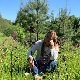 �������, ���������, 46 ���