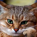 ���� Ahror, �������, 41 ��� - ��������� 20 ������ 2023