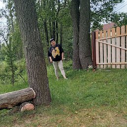 , 61, 