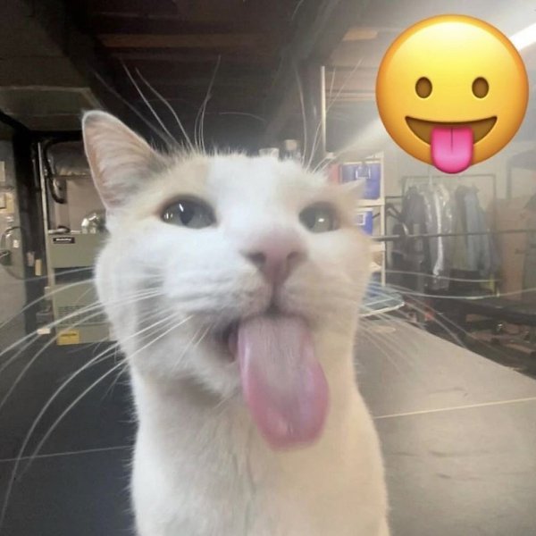 ����� ����� ������� ��? - 3