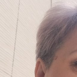 ������, ������-��-����, 51 ���