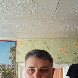 �������, 48 ���, ���������