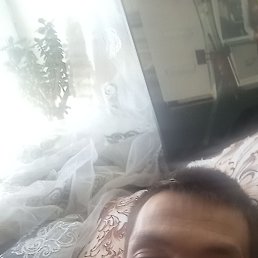 , 37, 