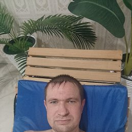 , 41, 
