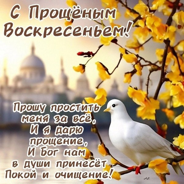  - 17  2024  11:55