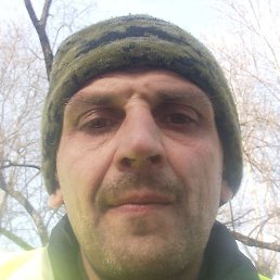 ���������, ���������, 46 ���