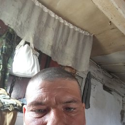 , 41, 