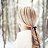 ���� �����, �������, 44 ���� - ��������� 27 ������� 2024