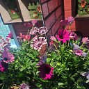 ���� Sandra, ������ - ��������� 27 ���� 2025 � ������ ������ ��������