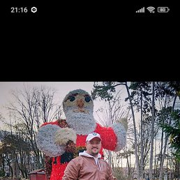 ���� �������, ������, 48 ��� - ��������� 10 ������ 2025