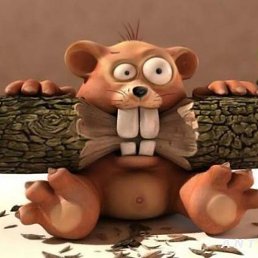 ��������, ���, 37 ���