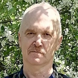 ������, �����������, 65 ���